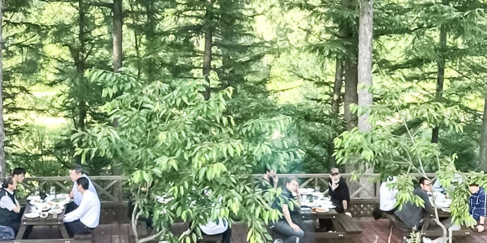 テラス / パティオ