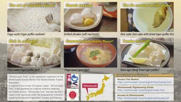 観光スポット / 30