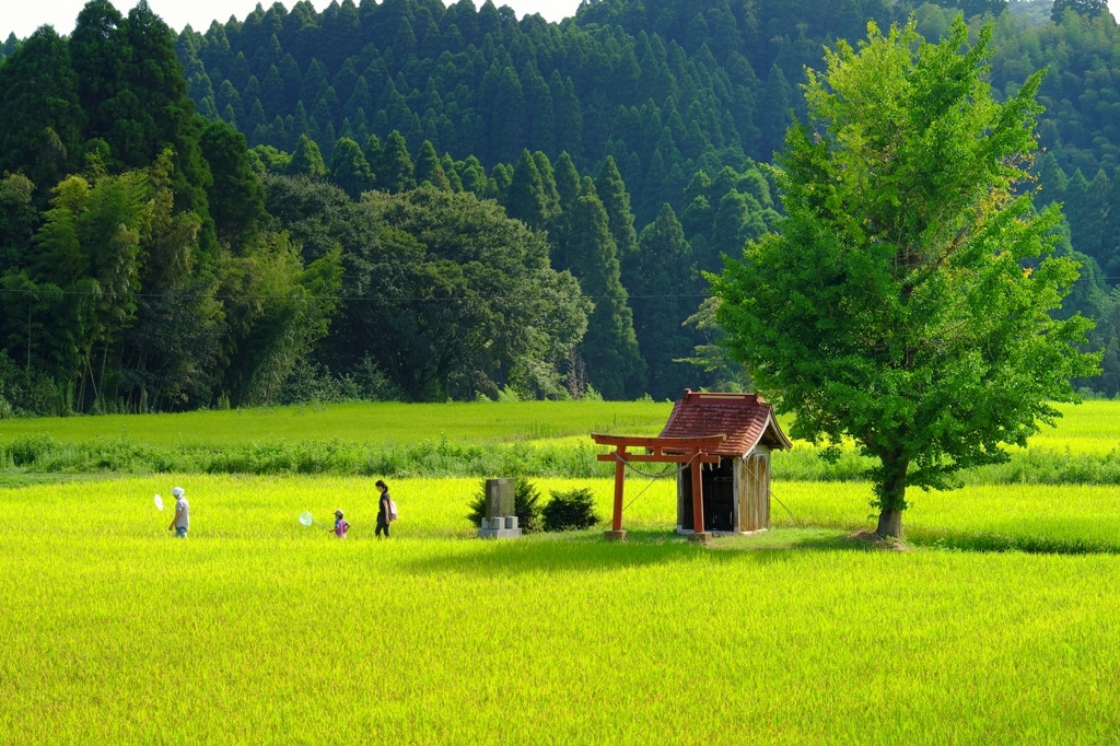 寝起き