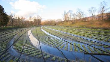 観光スポット / 3