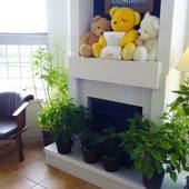 ファミリーロッジ旅籠屋・千葉勝浦店(千葉県 ビジネスホテル) / 3