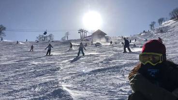 ランド ビュー / 29