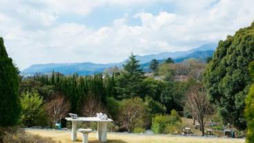 施設の敷地 / 21