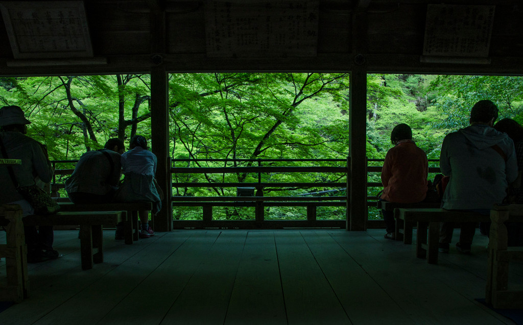 貴船神社（きふねじんじゃ）1584672