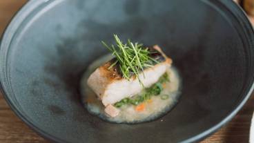 食事・飲み物 / 19