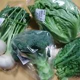 道の駅 保田小学校(ミチノエキホタショウガッコウ)