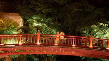 観光スポット / 15