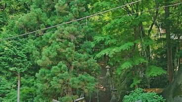 観光スポット / 5