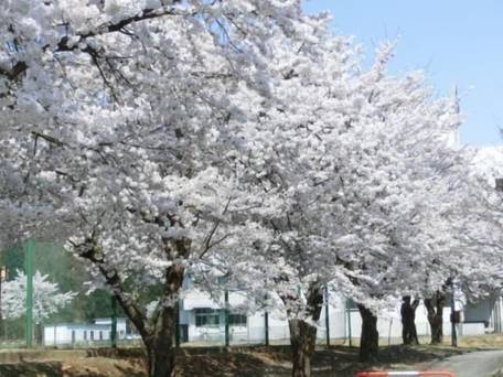 ペンション カム / 5