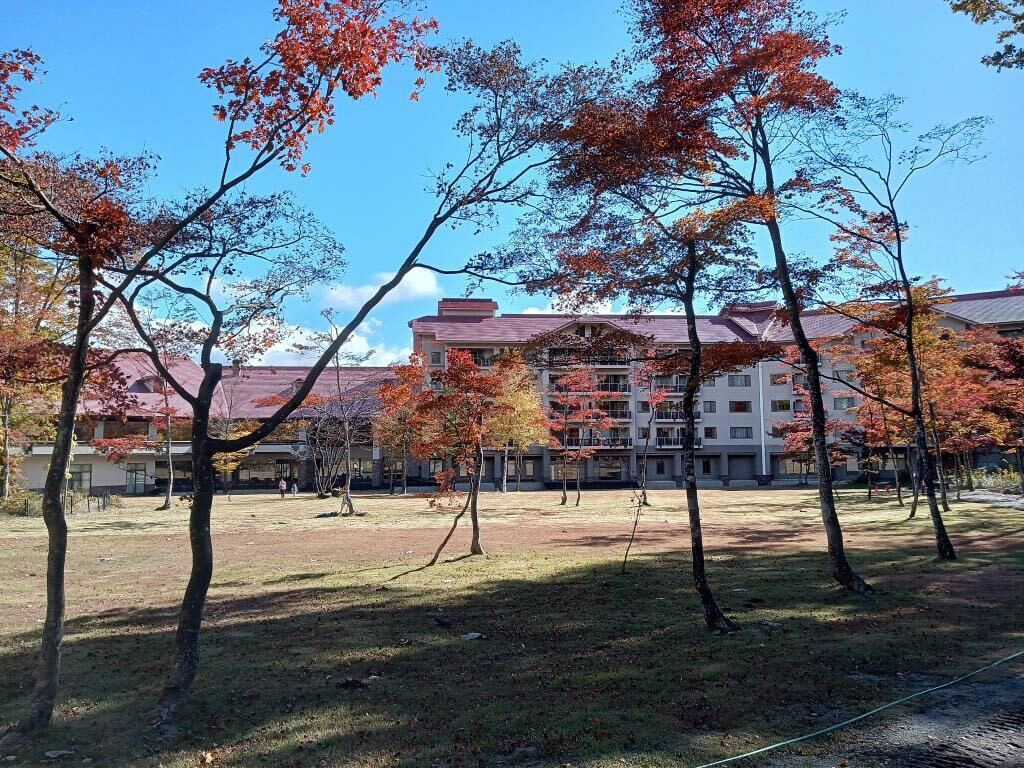 yumikohmnさんの写真 / 2