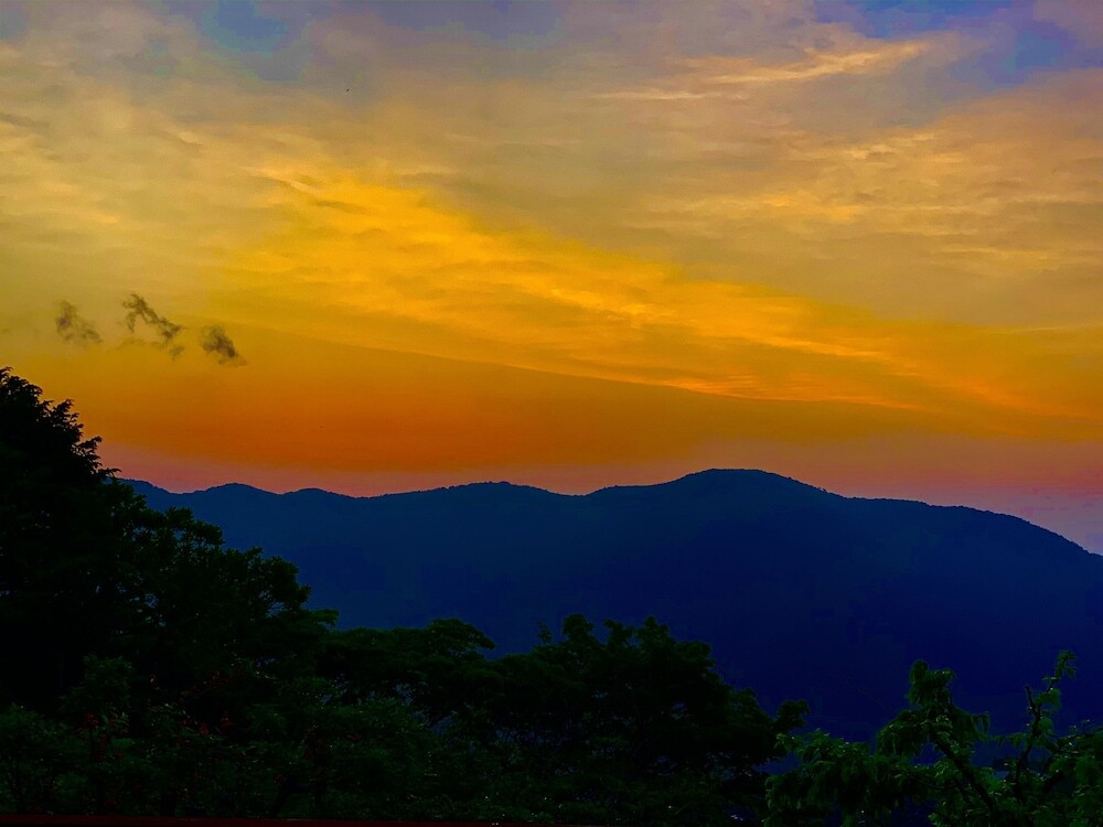 マウンテン ビュー