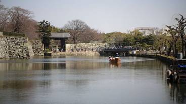 観光スポット / 8