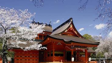 観光スポット / 18