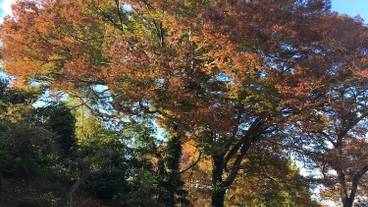 施設からの眺望 / 12