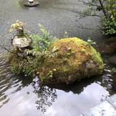 静かな森と明治 大正離れの宿 環翠楼（新潟県 旅館） / 3