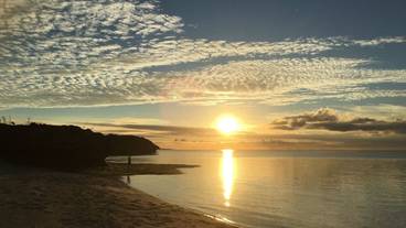 施設からの眺望 / 14