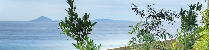 【静岡】伊豆アニマルキングダム周辺のホテル・旅館で充実旅♪おすすめ6選