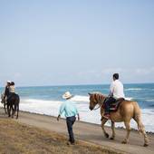 シェラトン・グランデ・オーシャンリゾート(宮崎県 リゾートホテル) / 4