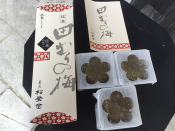 「松栄堂 総本店」料理 988002 