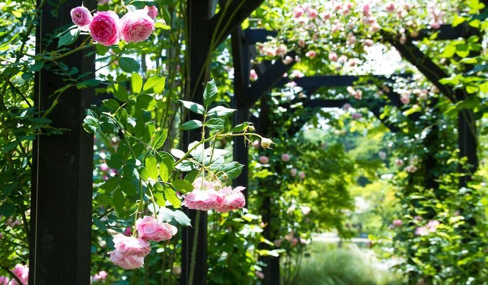 庭園に囲まれた
クラシカルなホテルへ / 2