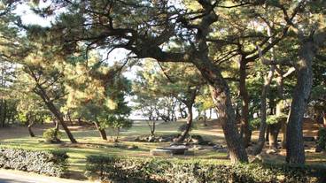 ランド ビュー / 25