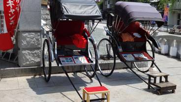 施設からの眺望 / 21