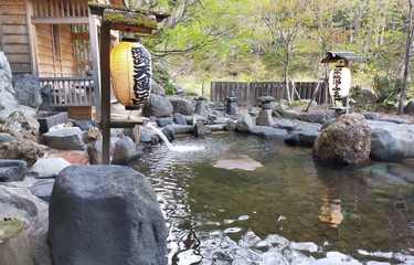 Best 11 Kanto Onsen Hotels &amp; Ryokan Chosen by the Experts at “Japan Association of Secluded Hot Spring Inns”