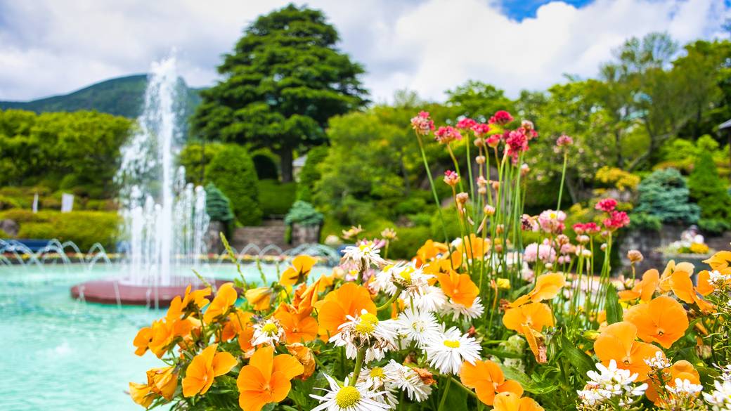 「箱根強羅公園」 / 3