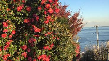 施設からの眺望 / 18