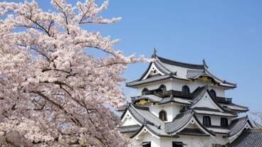 観光スポット / 8