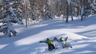 スノー スポーツとスキー / 16