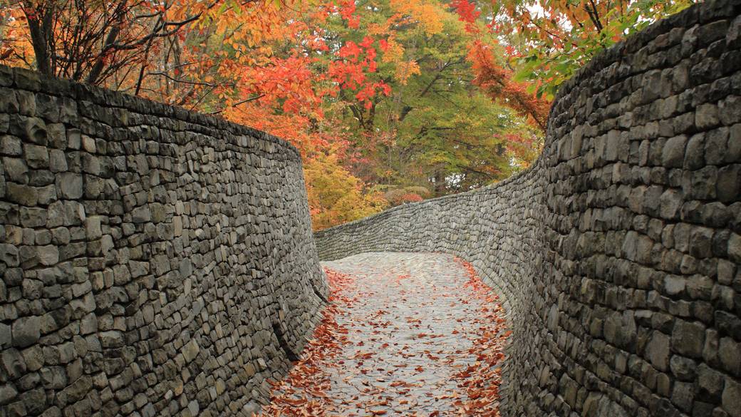 軽井沢まで足を伸ばして
ゆっくり観光とランチ / 2
