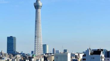 屋上テラス / 12