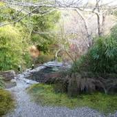 武雄温泉 御宿 竹林亭（佐賀県 旅館） / 4