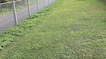 ペット同伴可 / 1