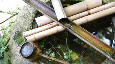 施設の敷地 / 29