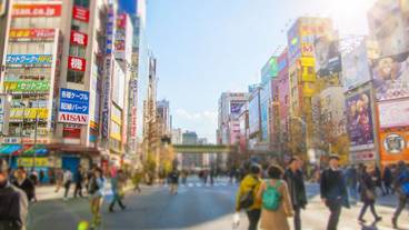 ランド ビュー / 35