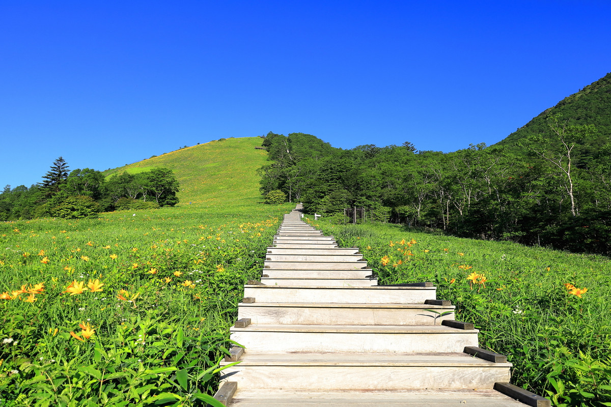 霧降高原キスゲ平園地