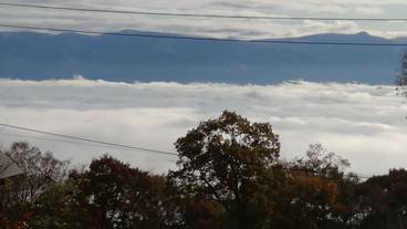 テラス / パティオ / 7