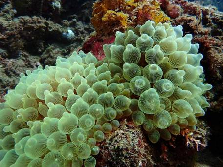 ゲストハウス ソラ（静岡県） / 5