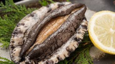 食事・飲み物 / 26