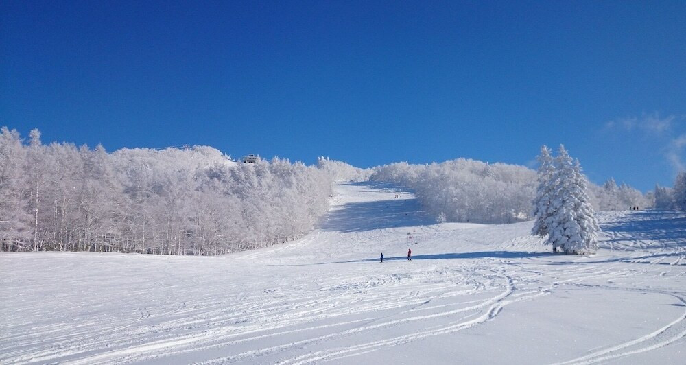 スノー スポーツとスキー