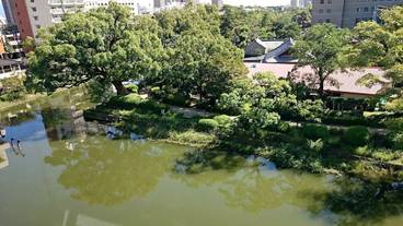 部屋からの景観 / 18