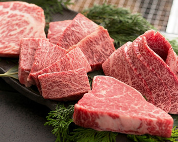 「どんどん 新宿歌舞伎町店」料理 889643 