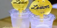 甘酸っぱいレモンのスイーツを食べよう♡東京のおすすめ店6選
