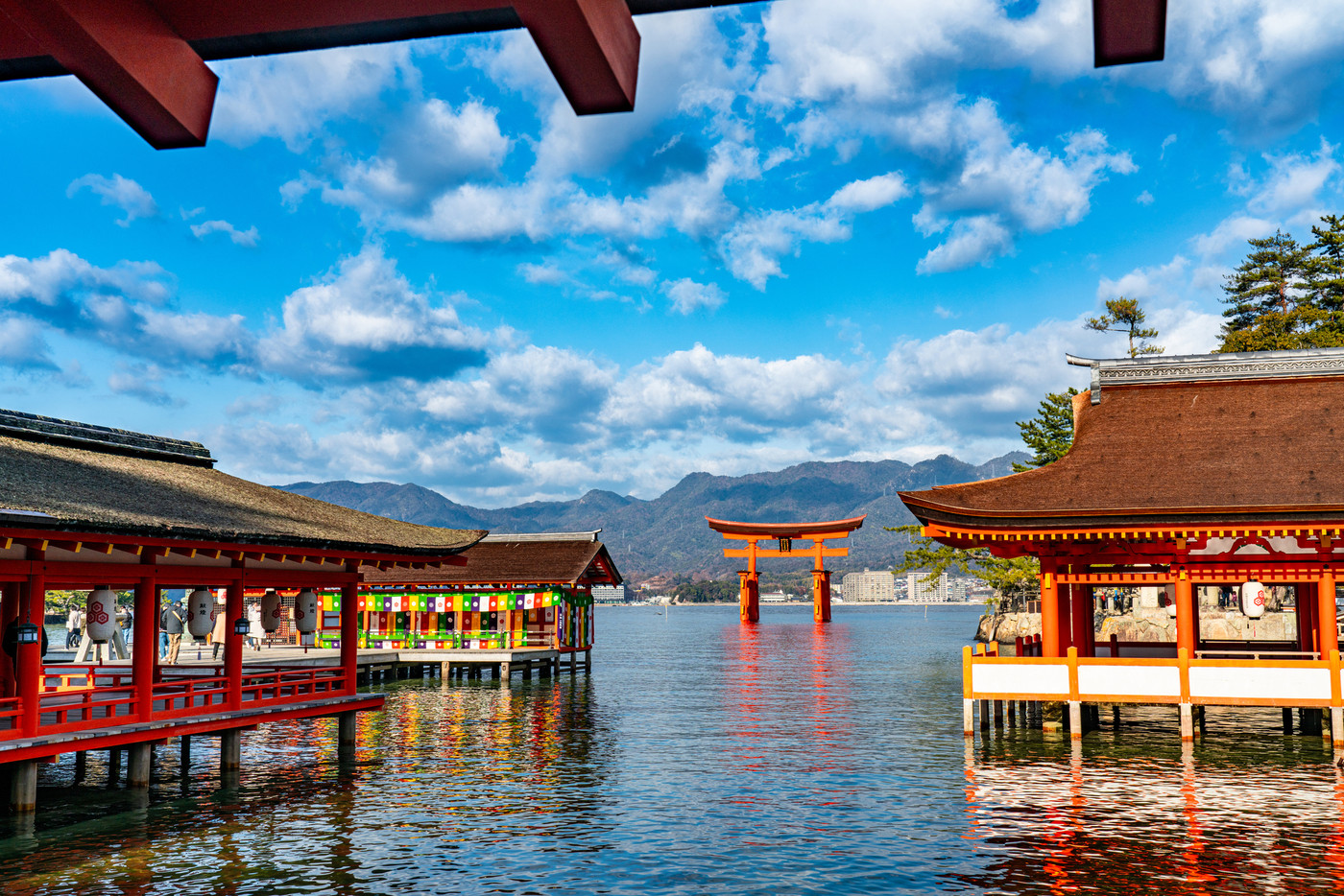 【世界遺産　嚴島神社】【安芸国一宮】新年の晴れた朝の社殿と大鳥居1　広島県廿日市市
