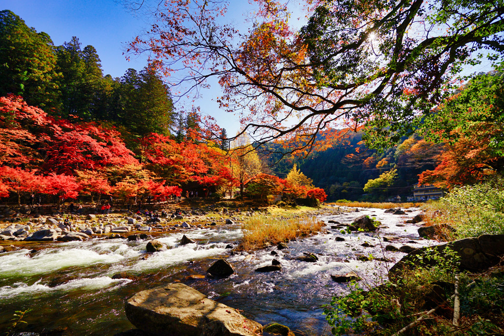 秋は香嵐渓で、情緒あふれる素敵なデートを♡1717248