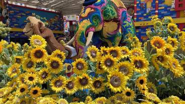 観光スポット / 11