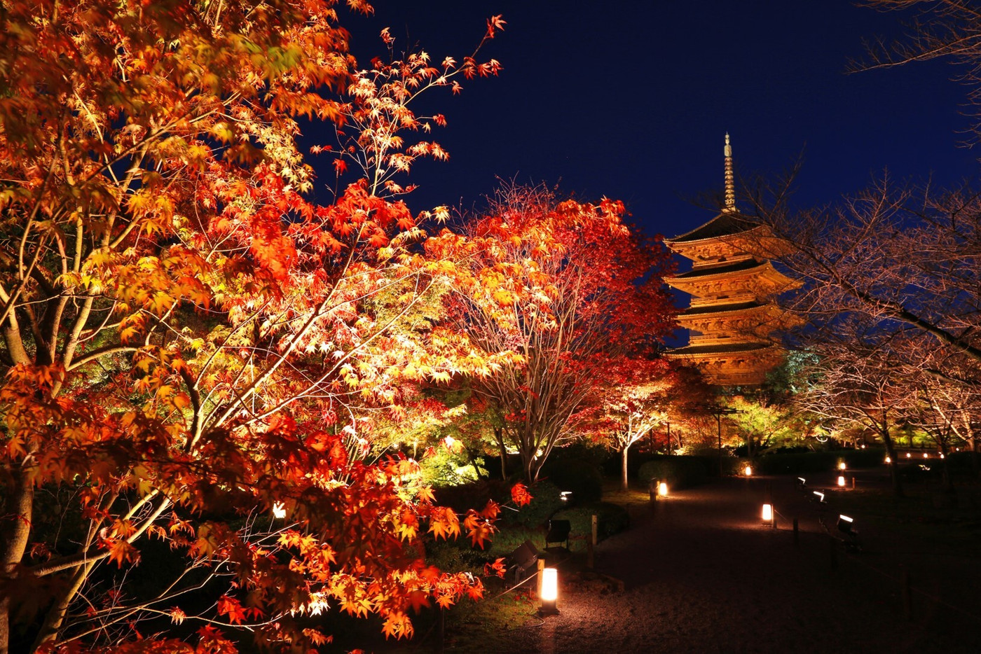 この秋は、京都の “特別な” 紅葉とスイーツで自分にご褒美を。1947704
