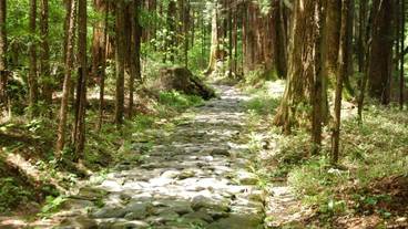 観光スポット / 11